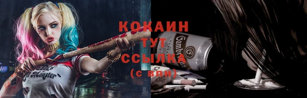 прущие грибы Алзамай