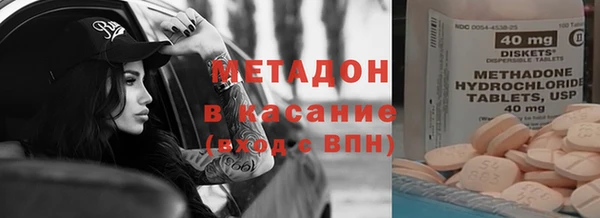 прущие грибы Алзамай