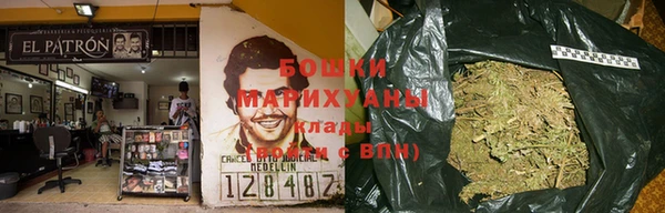 прущие грибы Алзамай