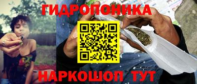 экстази Сланцы