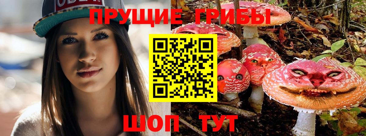 Копейск  Псилоцибиновые грибы GOLDEN TEACHER  Вход с VPN  Псилоцибиновые грибы Psilocybe 