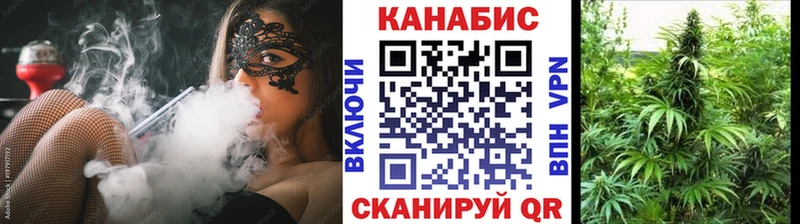 Конопля гибрид  где найти наркотики  Копейск 